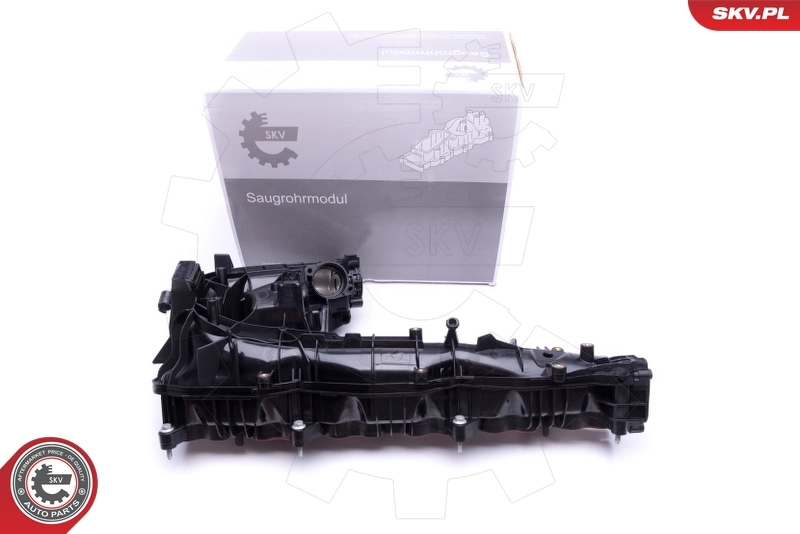 Intake Manifold Module